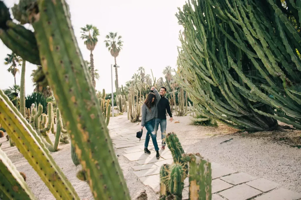 Top 5 des jardins romantiques à explorer en Ille-et-Vilaine