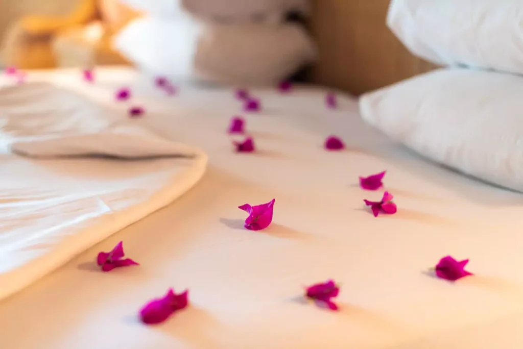 Pétales de rose sur le lit d'une love room