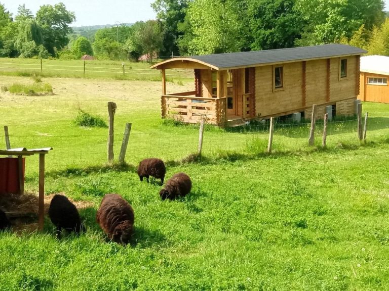 Roulotte avec piscine privée à Orthez - Séjournez !
