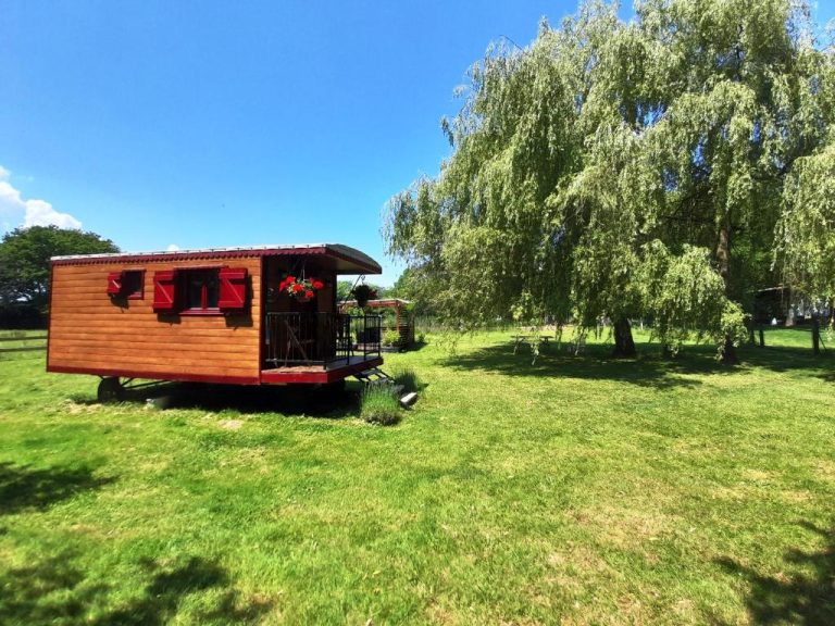 Roulotte au bord de la mare, vue jardin et confort